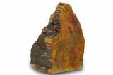 Free Standing Petrified Wood (Araucarioxylon) - Arizona #371671-1